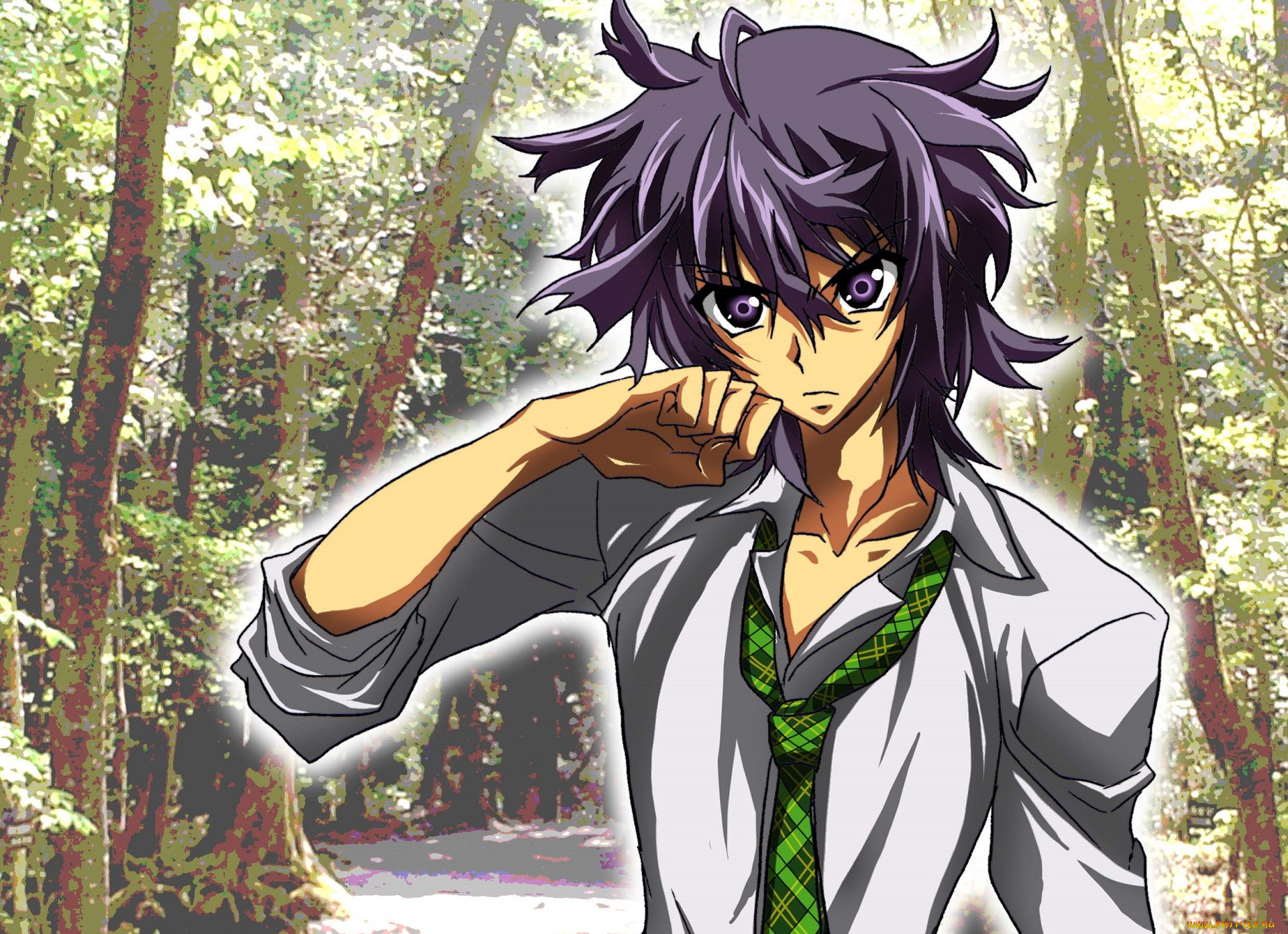 , shiki, koide, natsuno